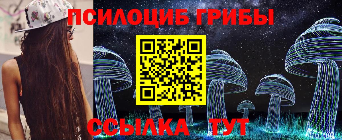 продажа наркотиков  Галлюциногенные грибы GOLDEN TEACHER  Псилоцибиновые грибы Psilocybine cubensis  Вход с VPN  Шадринск 
